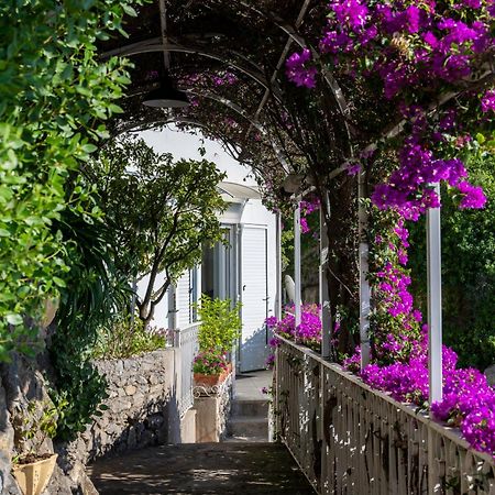 Casetta Arienzo Positano Eksteriør billede